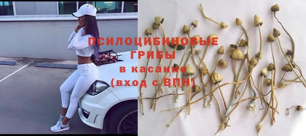сатива Алексеевка