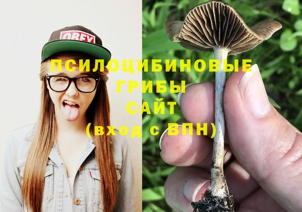 mdpv Алексин