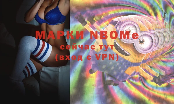 сатива Алексеевка