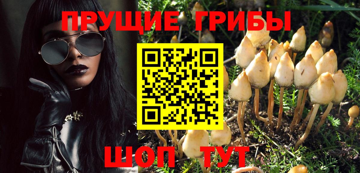 Галлюциногенные грибы Psilocybine cubensis  Вход с VPN  Находка 